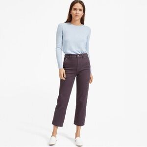 Everlane Straight Leg Crop Pants in Shadow Purple size 16